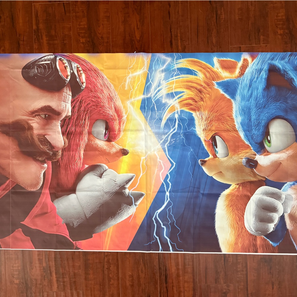 Sonic the Hedgehog and Knuckles cloth poster